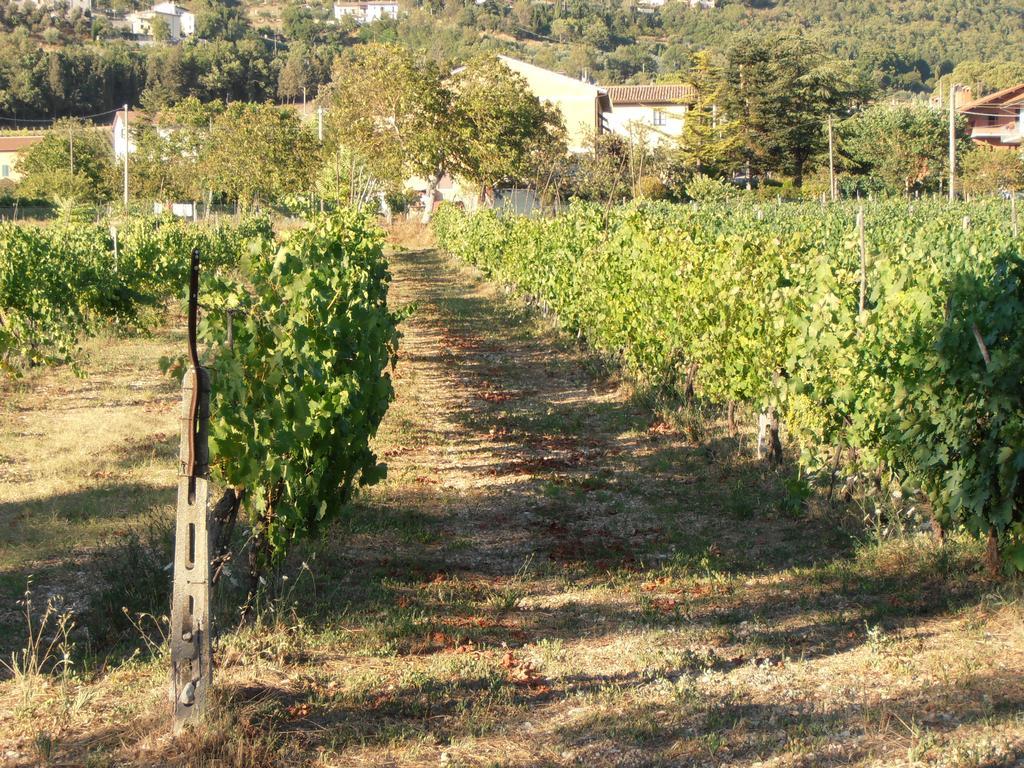 Agriturismo Ponte Di Riocchio Gubbio Extérieur photo